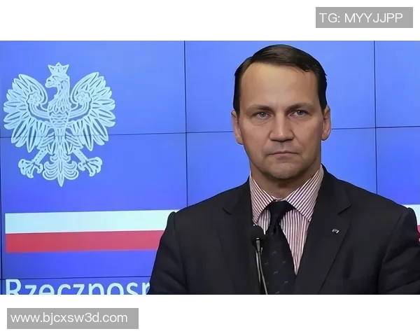 乌克兰与波兰比赛主裁判的执法表现与争议分析